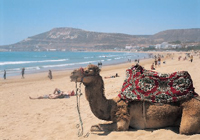 la plage de agadir